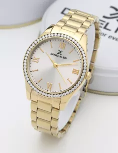 Daniel Klein Montre Femme DK.1.13257-6 2