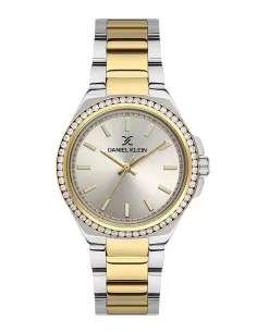 Daniel Klein Montre Femme DK.1.13500-3
