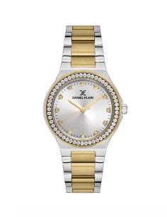Daniel Klein Montre Femme DK.1.13463-4