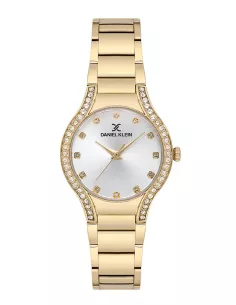 Daniel Klein Montre Femme DK.1.13826-2
