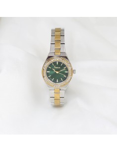 Montre Femme Freelook FL.1.10466.4 2