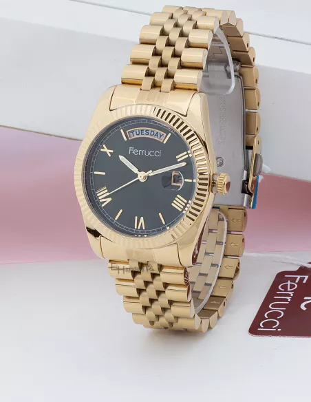 Ferrucci Montre Femme FC.13024CM-06