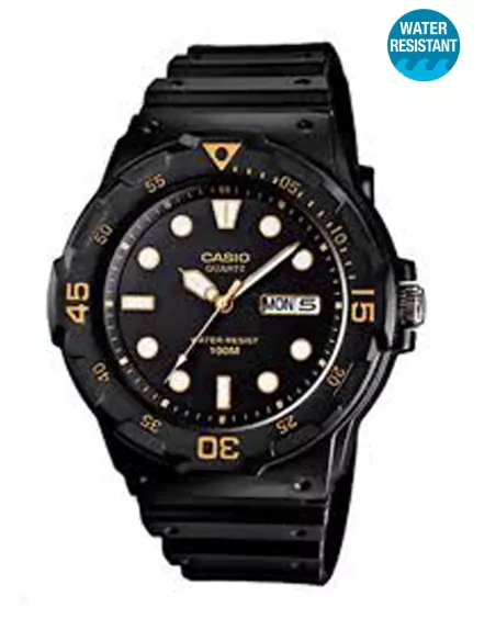 Montre Casio Homme