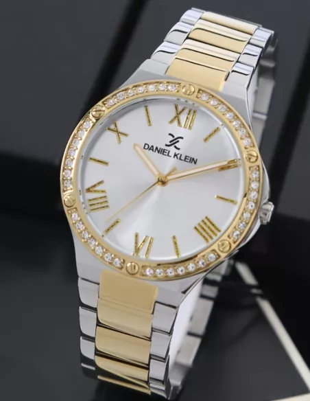 Daniel Klein Montre Femme DK.1.13333-3