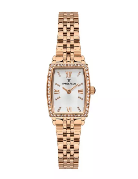 Daniel Klein Montre Femme DK.1.13480-5