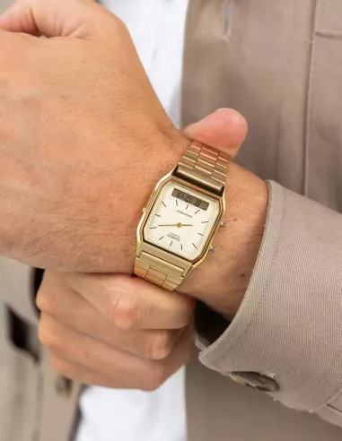 CASIO Montre Unisexe AQ-230GA-9DMQ