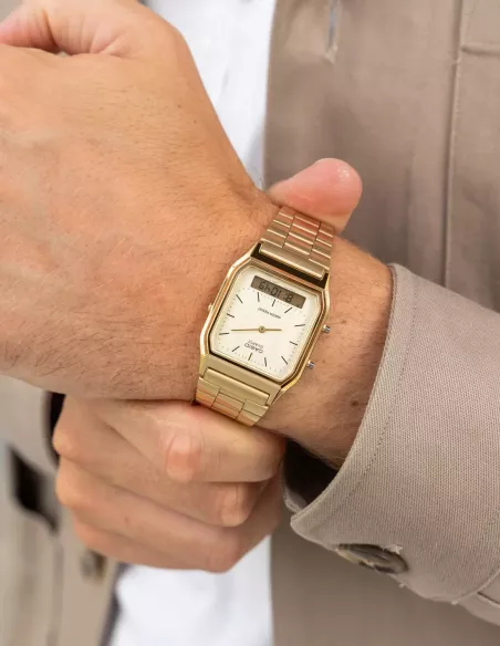CASIO Montre Unisexe AQ-230GA-9DMQ