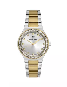 Daniel Klein Montre Femme DK.1.13463-4