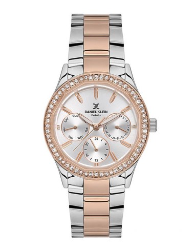 Daniel Klein Montre Femme DK.1.13879-6