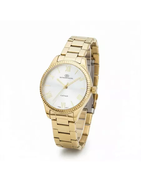 Montre Femme RAYMOND DANIEL RD013041-B