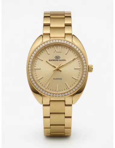Montre Femme RAYMOND DANIEL RD3281-E