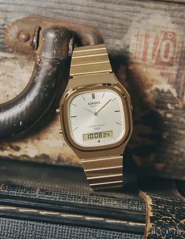 Casio Montre AQ-240EG-9ADF