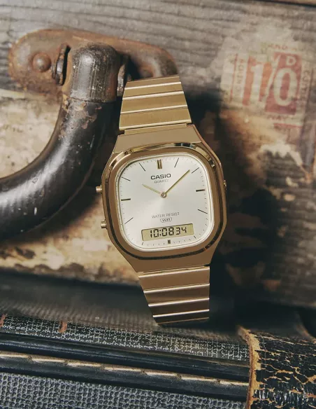 Casio Montre AQ-240EG-9ADF