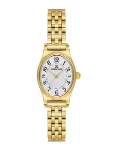 Daniel Klein Montre Femme DK.1.14174-6