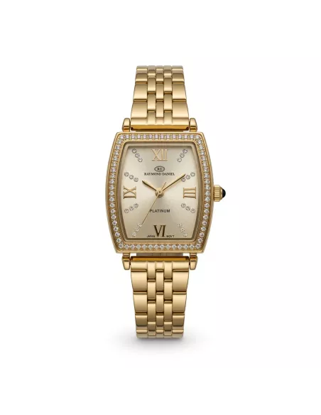 Montre Femme RAYMOND DANIEL RD015241D-D