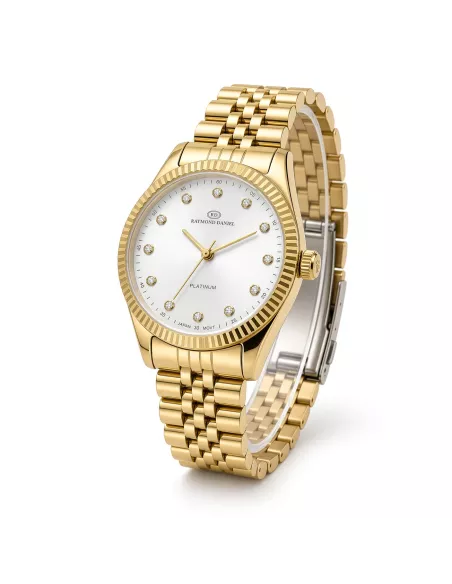 Montre Femme RAYMOND DANIEL RD013041C-D